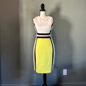 Calvin Klein Mod Style Dress